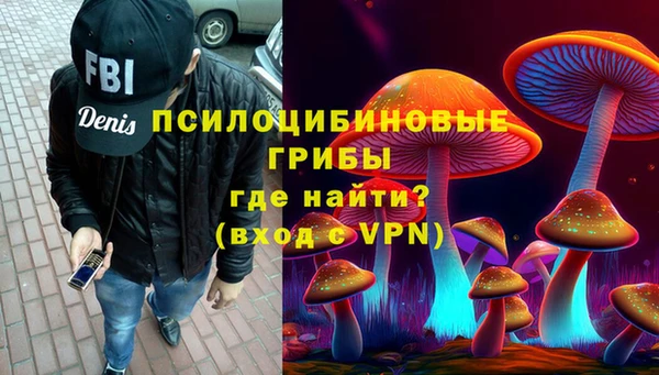 mdma Бородино