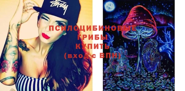 mdma Бородино
