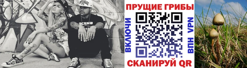 Купить  Артёмовск  Галлюциногенные грибы Magic Shrooms 